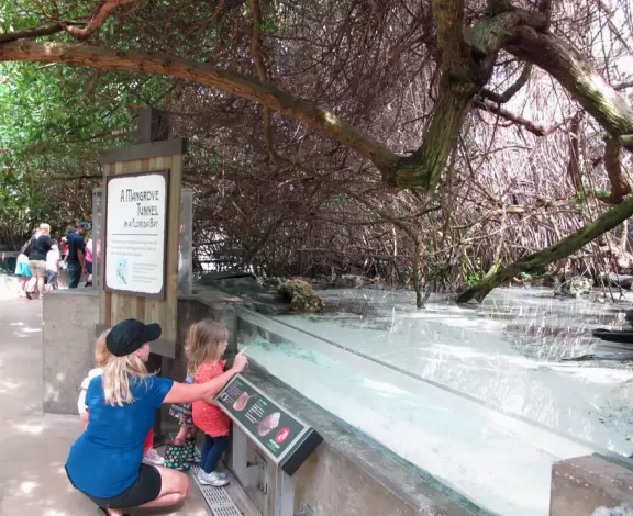 Wonderful aquarium with animals you've never seen before, and an outdoor splash park for kids.