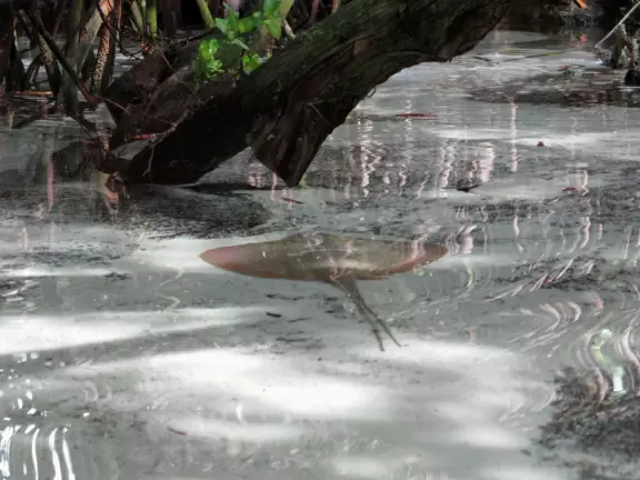 Wonderful aquarium with animals you've never seen before, and an outdoor splash park for kids.
