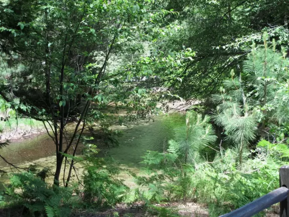 Easy half-hour hike with scrambling area at the end where waterfall mist sprays on your face!