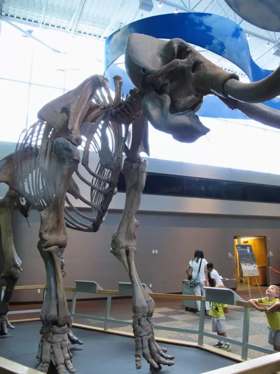 Attractive, colorful museum with wonderful butterfly rainforest!