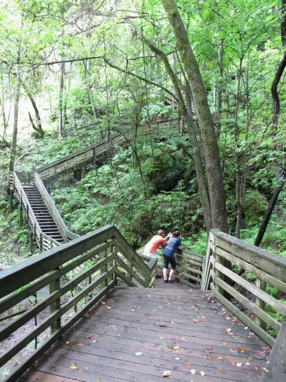 Zigzag to the bottom of a sinkhole covered&nbsp;in lush tropical rainforest.