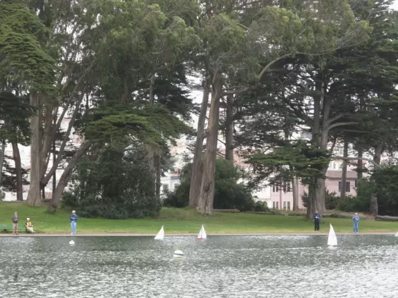 Huge park in the middle of San Francisco, with delightful daisy-filled meadows, playgrounds, lakes, gardens, and museums!