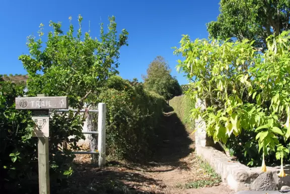 A lovely strip of cafes and shops in Victorian houses.
