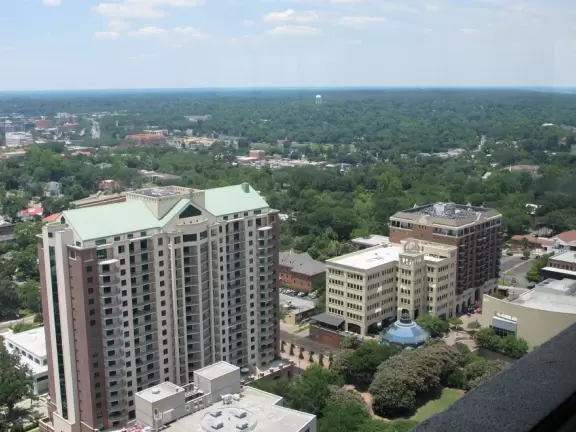 Hilly town with old and new capitol, and some pretty streets covered in a jungly canopy.