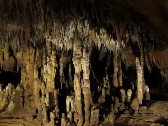 A true wonder of nature, a deep cave with many rooms where you can see stalactites, stalagmites, and soda straws.
