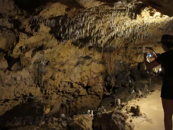 A true wonder of nature, a deep cave with many rooms where you can see stalactites, stalagmites, and soda straws.