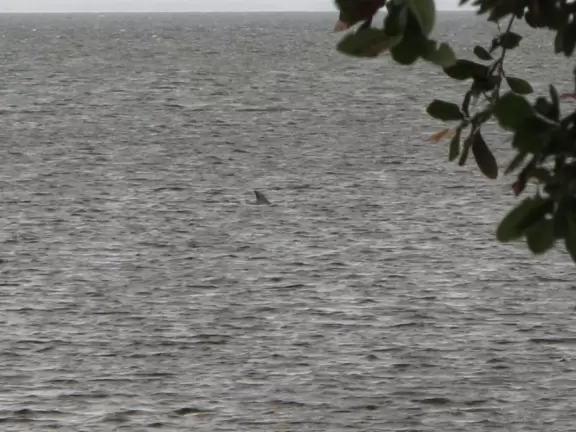 Lighthouse in a gorgeous area with wide open spaces.