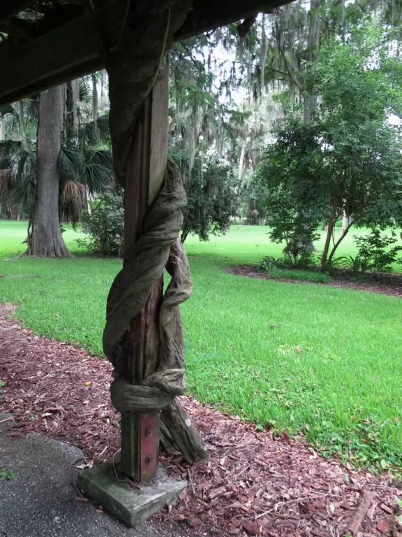 See the spring vents&nbsp;by glass bottom boat- gorgeous!