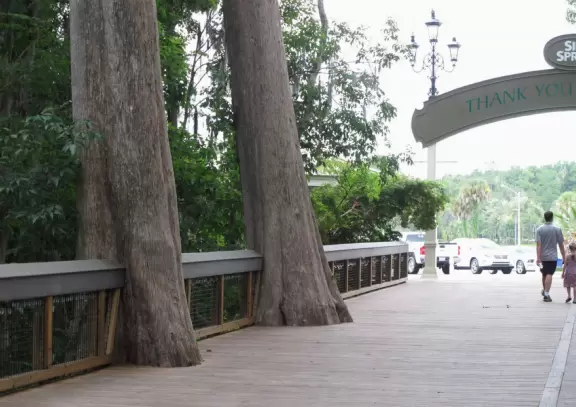 See the spring vents&nbsp;by glass bottom boat- gorgeous!
