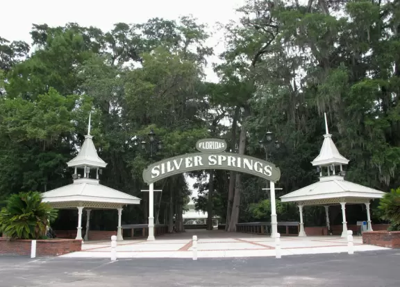 See the spring vents&nbsp;by glass bottom boat- gorgeous!