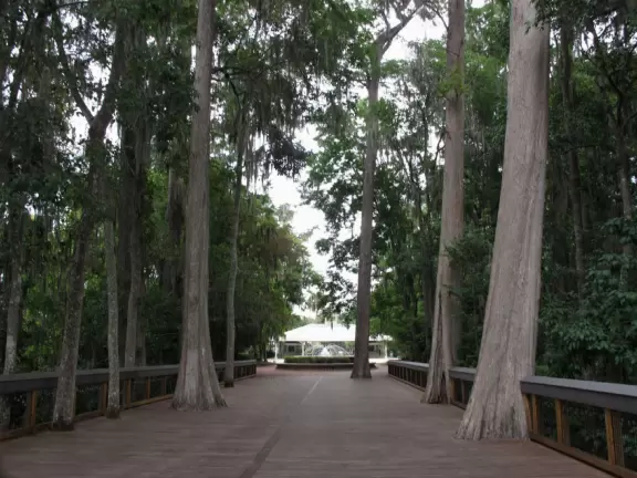 See the spring vents&nbsp;by glass bottom boat- gorgeous!