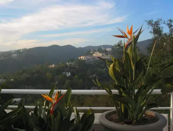 A massive architectural achievement with great views of LA, beautiful gardens, and a cool free monorail that takes you up!