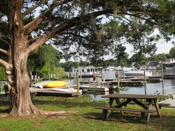Huge island in St John River with hiking trails, indian shell mound, playground, one-room exhibit, and gift/camping shop.