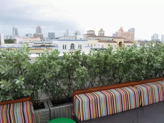 Learn about the Art Deco architecture and history of South Beach!