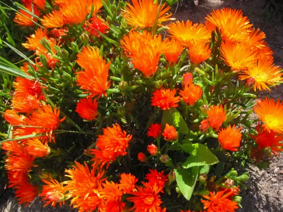 A touristy, wallet-gobbling place, but beautiful nonetheless.