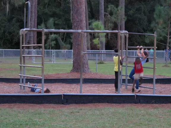 Spacious park with tall trees, merry-go-round, swings, and playground.