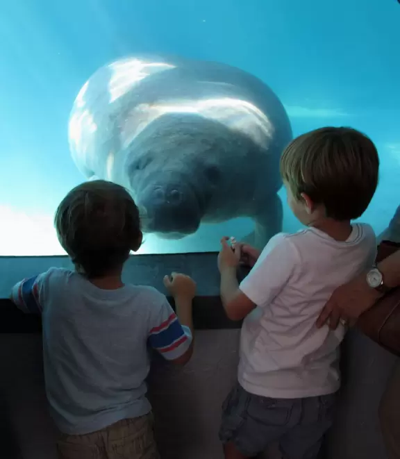 An aquarium with nice exhibits including a manatee that kisses you through the glass!