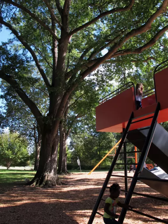 This is Atlanta's Central Park!