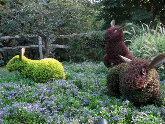 One of the best botanical gardens, with its beautiful canopy walk, winding paths under giant trees, tropical conservatory, and imaginative children's garden.