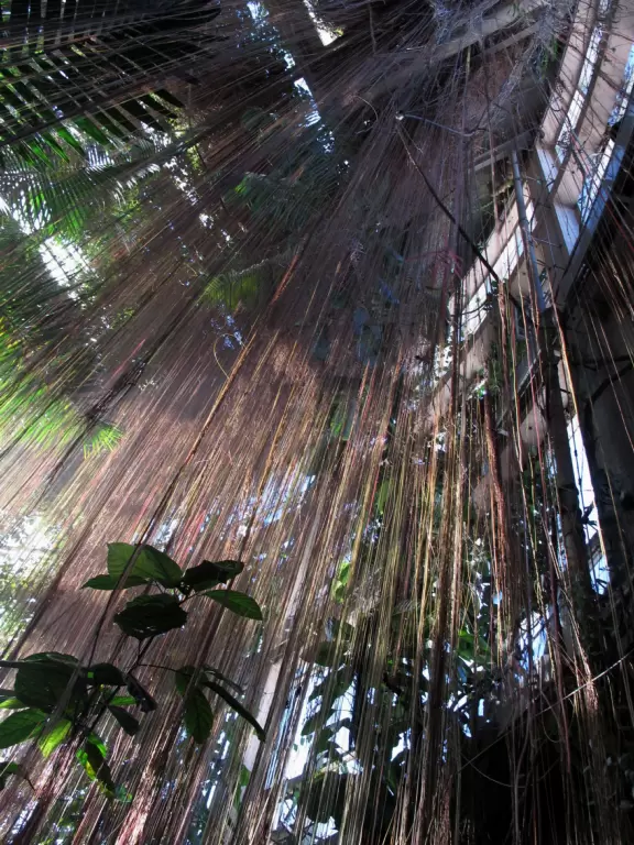 One of the best botanical gardens, with its beautiful canopy walk, winding paths under giant trees, tropical conservatory, and imaginative children's garden.