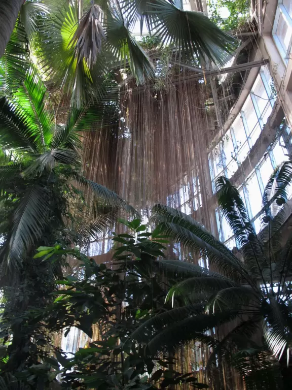 One of the best botanical gardens, with its beautiful canopy walk, winding paths under giant trees, tropical conservatory, and imaginative children's garden.