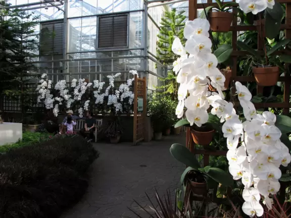One of the best botanical gardens, with its beautiful canopy walk, winding paths under giant trees, tropical conservatory, and imaginative children's garden.