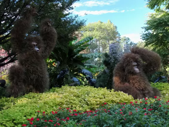 One of the best botanical gardens, with its beautiful canopy walk, winding paths under giant trees, tropical conservatory, and imaginative children's garden.