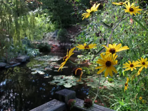 One of the best botanical gardens, with its beautiful canopy walk, winding paths under giant trees, tropical conservatory, and imaginative children's garden.