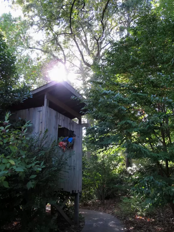 One of the best botanical gardens, with its beautiful canopy walk, winding paths under giant trees, tropical conservatory, and imaginative children's garden.