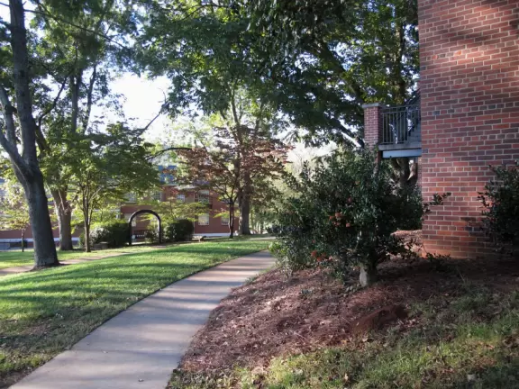 Pretty university campus just steps from the sweet Dahlonega town square.