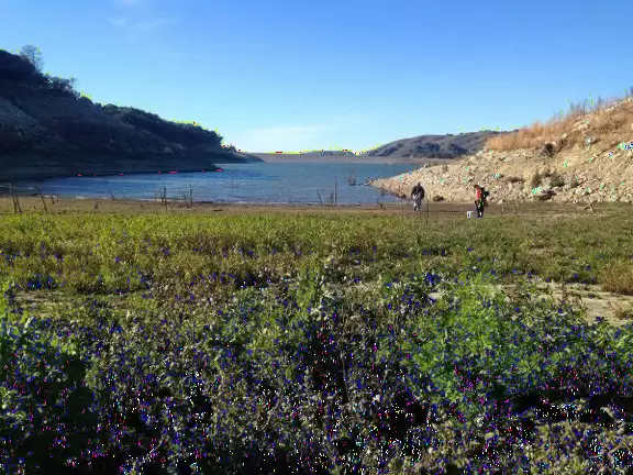 A serene lake with an interesting nature center.