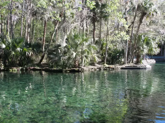 Escape the city congestion and have a dip any time of year in this 72 degree, crystal clear spring! Or picnic on the hill.