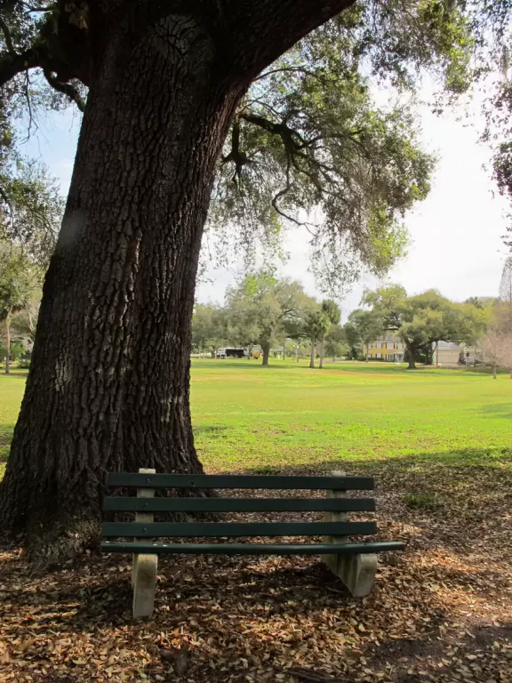 Lovely 1930s homes on lakes, surrounded by lush tropical trees.