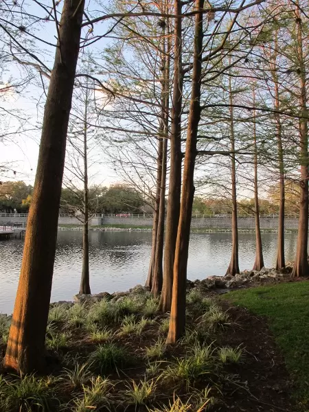 The place to go if you want to jog or walk, day or evening, inspired by many others doing the same!