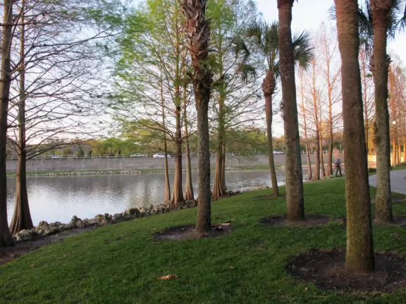 The place to go if you want to jog or walk, day or evening, inspired by many others doing the same!