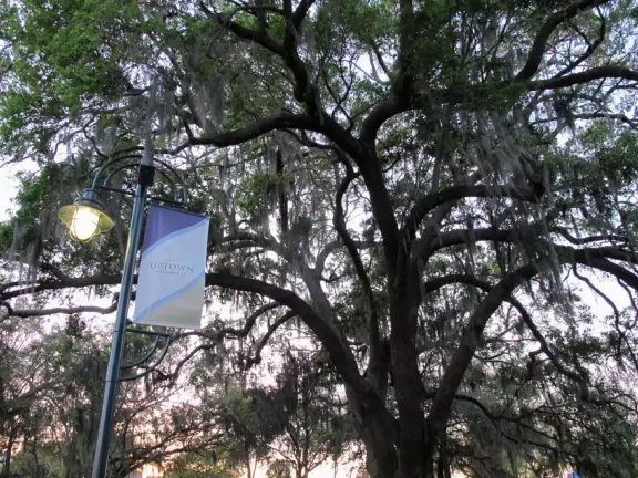 The place to go if you want to jog or walk, day or evening, inspired by many others doing the same!