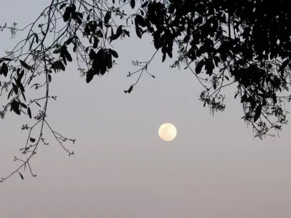 The place to go if you want to jog or walk, day or evening, inspired by many others doing the same!