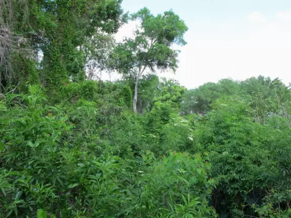 Lush park with tennis courts, modern playground, and boardwalk.