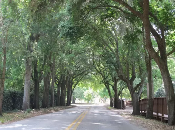 Running trails under incredible tall trees, large playground, and tennis, racquetball, volleyball and basketball courts.