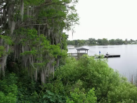 Park with sandy beach on Lake Virginia shaded by huge oak trees hung with Spanish moss.