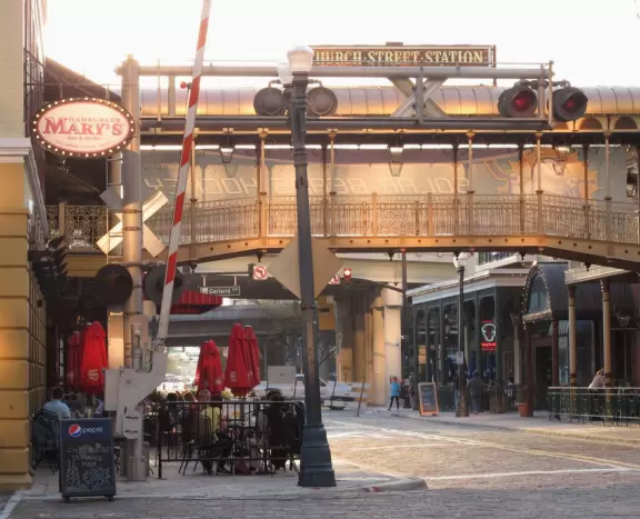 Great restaurants among moss-draped trees (Thornton Park), lit-up highrises at night (Orange Ave), and sun-worshippers enjoying Lake Eola Park.