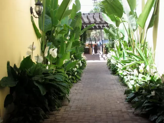 Three-block stretch of restaurants, under a canopy of trees, with sweet 1930s architecture.