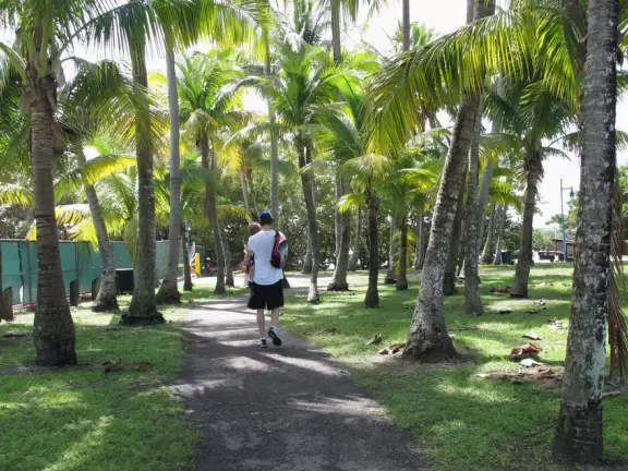 Playground under the shade of large trees, and boardwalk with views of islands and boats.