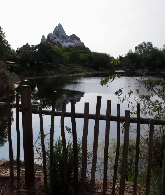 Lush theme park with African and Southeast Asian architecture- best for its two incredible shows and Pandora land.