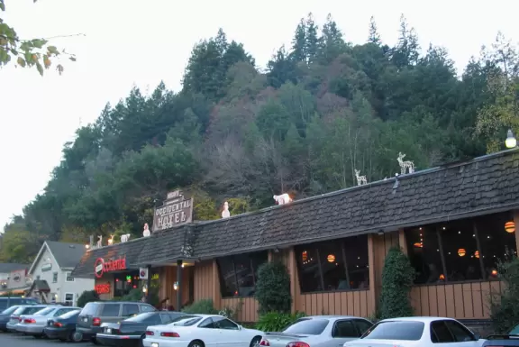 The cutest little town, backed by a forest.