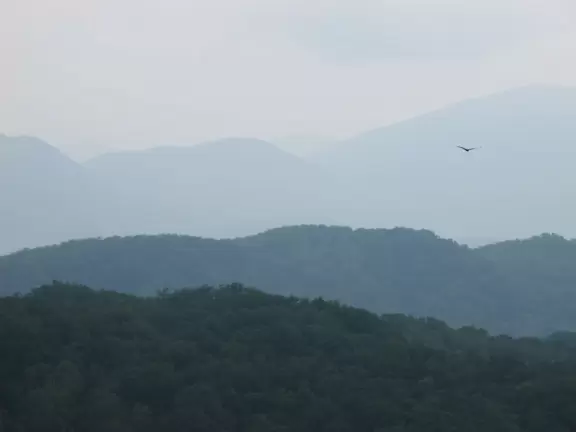 Lovely walk past flowers galore to a waterfall you can stand behind.