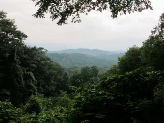 Lovely walk past flowers galore to a waterfall you can stand behind.