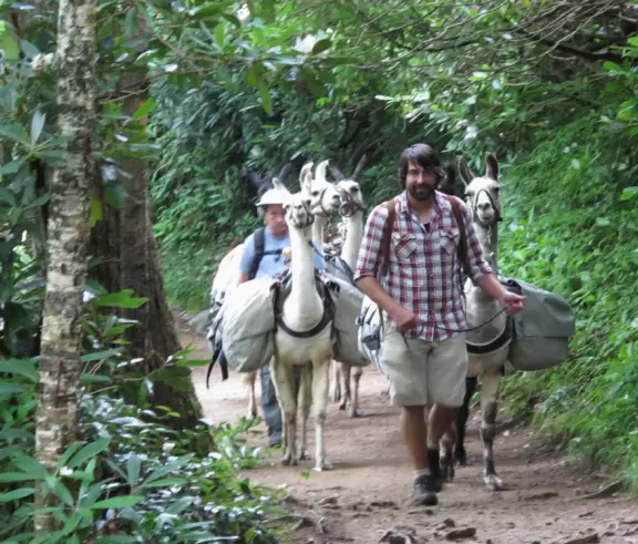 Lovely walk past flowers galore to a waterfall you can stand behind.