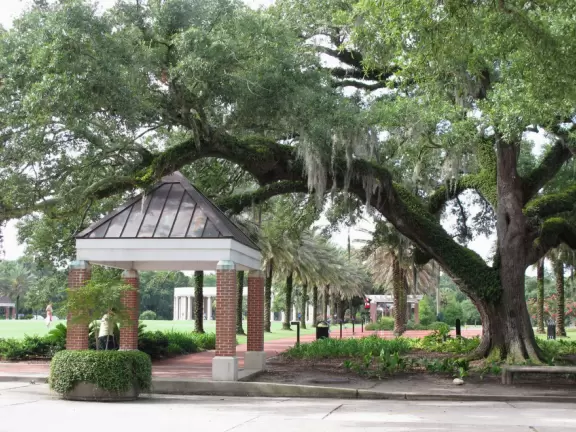 Beautiful park with stone bridges over a bayou and gigantic moss-draped oaks.