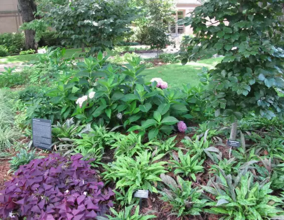 Pleasant large botanical garden with super area for kids.